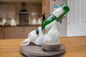 Photo 21- click for photo gallery